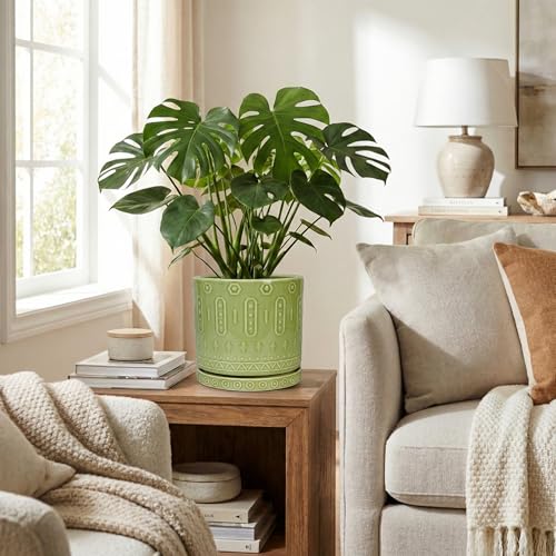 Ceramic Pots for Plants (8 Inch / Green - 2)