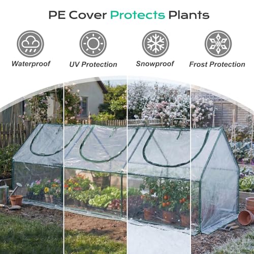 9x3x3 FT Mini Greenhouse with Roll (Transparent / 9x3x3 FT)