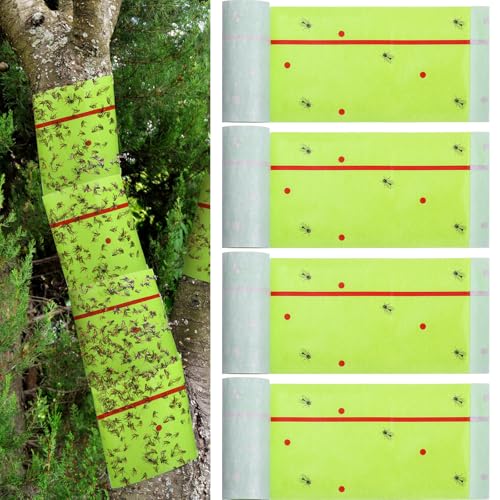 4 Rolls Spotted Lantern Fly Tree Tape Trap 30ft (Green)
