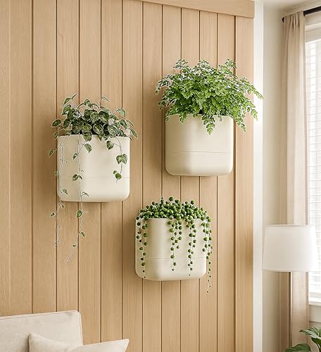 6.5 Inch Wall Mounted Self (6.5" (3 Pack) / Oatmeal)