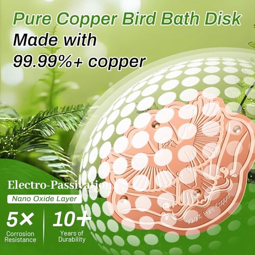 2 Pack Bird Bath Copper Disk (2Pcs)