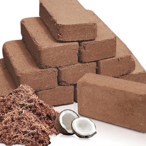 Premium Organic Coconut Coir Bricks (12Pack)