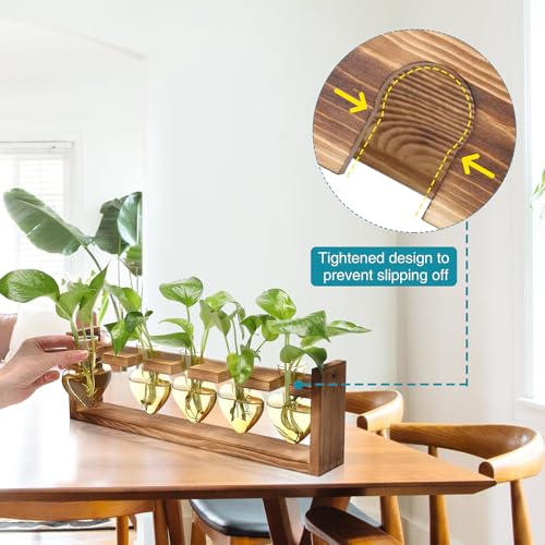 Plant Terrarium Hanging Propagation Stations Gift for Women