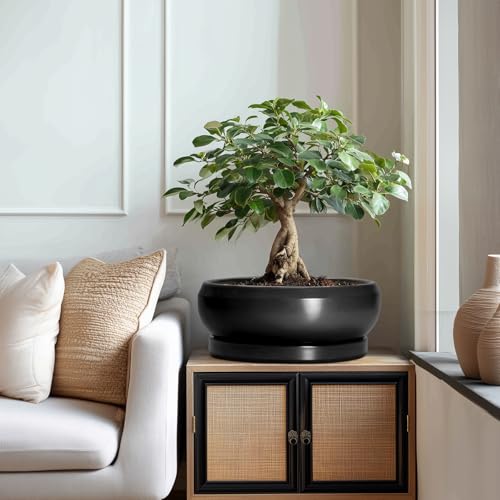 Bonsai Pots 13 Inch (13 Inch / Matte Black)