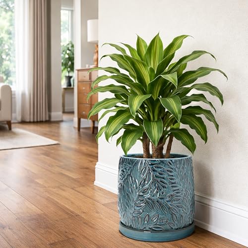 Embossed Leaves Ceramic Planter (10 Inch / Ocean Teal)