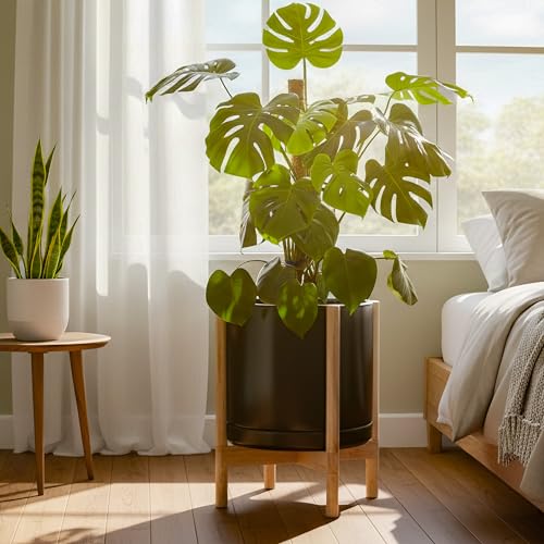 Ceramic Pot with Natural Wood Stand (14 Inch / Black Pot + Natural Stand)