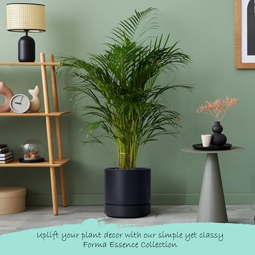8 Inch Planter Pot with Drainage Hole & Saucer (2 Count)