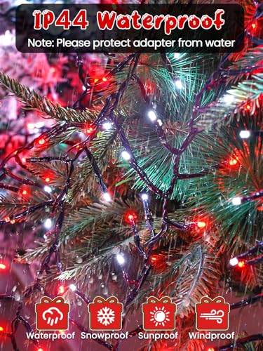 Christmas Cluster Lights 50FT 1000 LED String Lights with Remote Red White (Red and White / 1000LED)