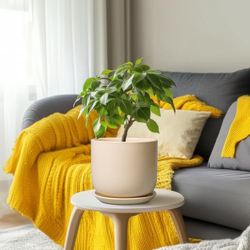 Ceramic Planter (8 Inch / Beige)