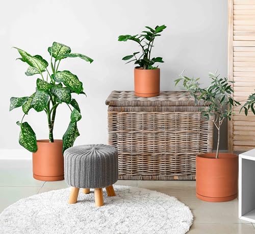 3 Pack Classic Terracotta Pots & Saucers (6+8+10 Inch / Terracotta)