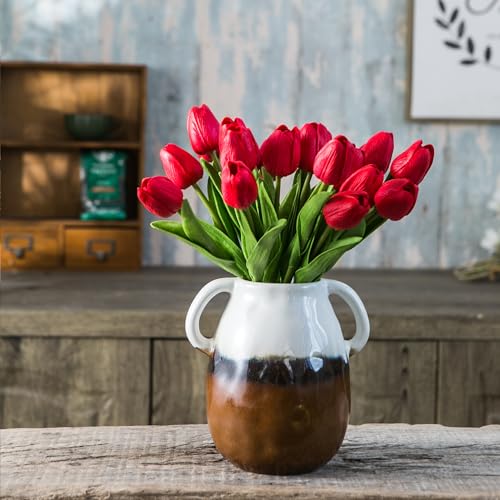 3 Tone Grad Ceramic Vase with Handles (3-tone Grad)