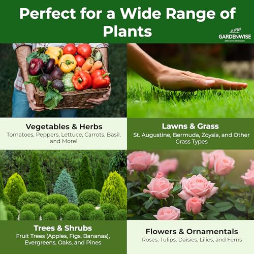 13-13-13 Slow Release Granular Fertilizer – All Purpose Plant Food 13 13 13 for Outdoor Grass, Vegetables, Roses, Flowers, Shrubs, Trees. Lawns, Gardens, Potted Plants (2 quarts) (64 Ounce)