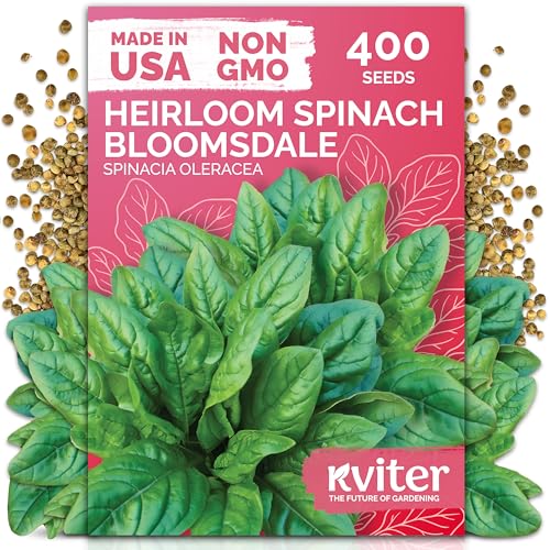 400 Bloomsdale Spinach Heirloom Vegetable Seeds
