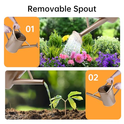 Metal Watering Can for Outdoor Plants (Gold)