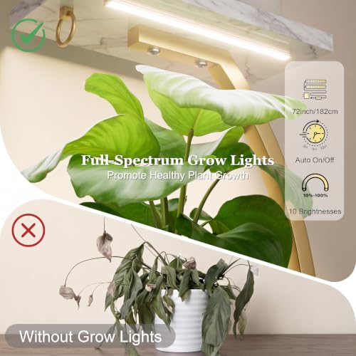 Plant Stand Indoor with Grow Lights (Faux Marble White + Gold)