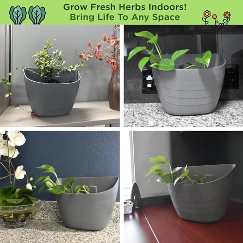 12 Inch Self Watering Wall Planter for Indoor & Outdoor Use (Black / 12 inches - WITH PLUG)
