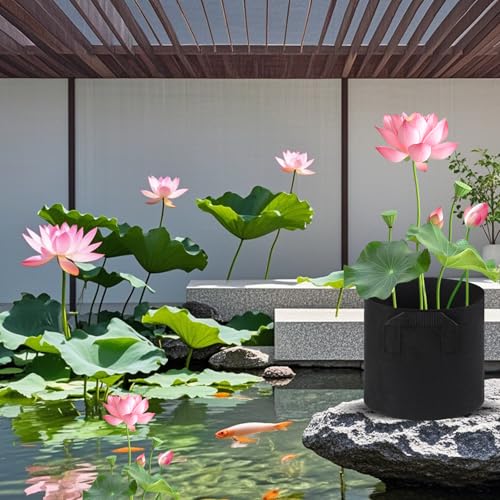 12Pcs Lily Plant Pots for Pond (3 Gallon)