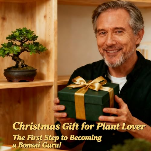 Bonsai Tree Starter Kit for Beginners