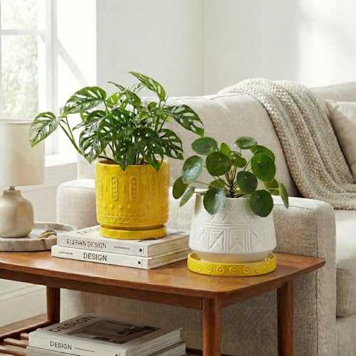 Plant Trays for Pots (5.6 Inch (2 Pack) / Yellow)