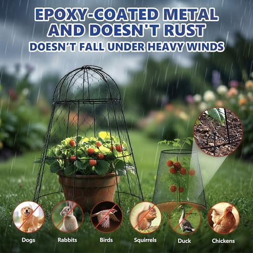 Garden Cloches for Plants (Set of 6+6)