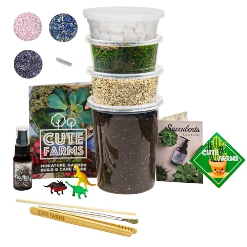 Terrarium Starter Kit (Large Kit + Crystals)