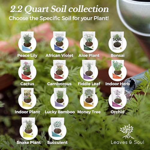 Professional Aloe Plant Soil Mix Large 2.2 Quarts Ready to Use (81.92 Ounce)