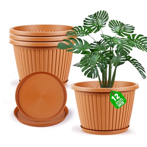 Large Planter (Terracotta / 12 Inch)