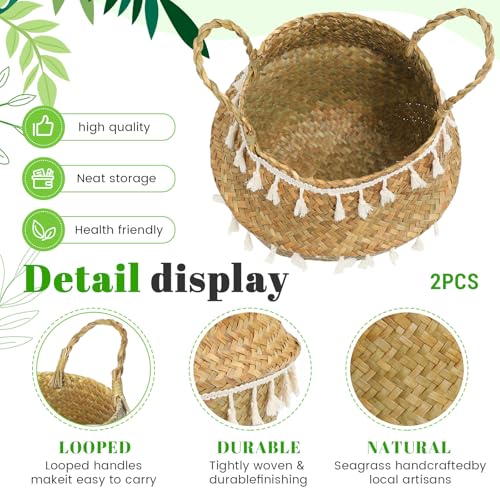 Large Wicker Plant Basket with Handle 10 Inch Woven Seagrass Belly Basket and Artificial Moss for House Plants Picnic Grocery Laundry Storage Home Decor (Large / Boho)