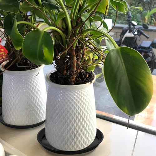6 Pack 7.1 Inch (7.1"(6 Pack) / Black)