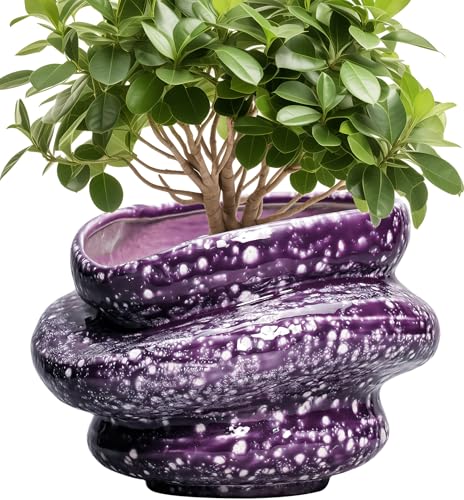Ceramic Pots for Plants (Purple (10.6 X 7.5 In))
