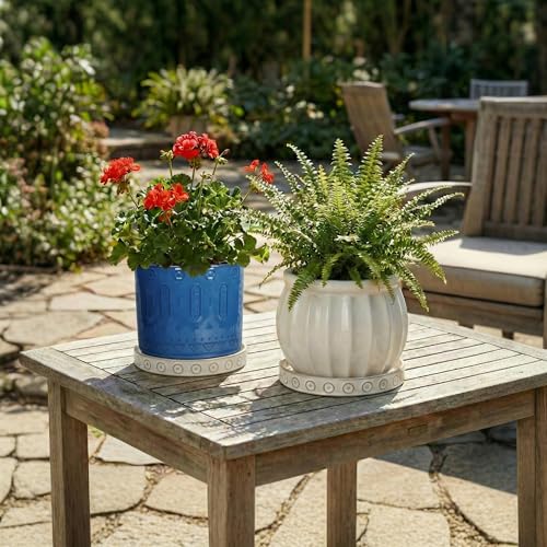2 Pack Ceramic Plant Saucer (7.5 Inch / Cream White - 2)