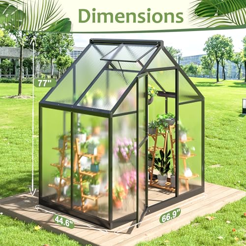 4x6 FT Walk in Polycarbonate Greenhouse for Outdoor (Black / 4x6 FT)