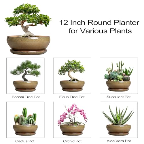 Ceramic Bonsai Pots (12 Inch / Speckled-brown)