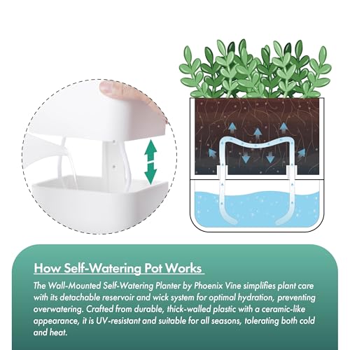 3.5 Inch Wall Mounted Self (3.5" (3 Pack) / White)