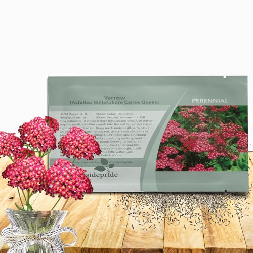 Cerise Queen Yarrow Seeds (10000 Count)