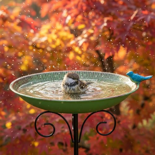 Metal Bird Bath for Outdoor (Green-1)