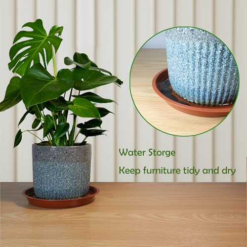 6 Pack 8 Inch Round Plant Saucers for Less 6.8 Inch Pot Indoors Outdoors Plant Trays for Pots Planter Saucer Plastic Plant Drip Tray Planter Water Tray for Potted Plants (8"(6pcs) / Black)