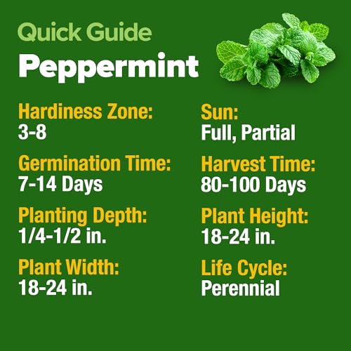 Peppermint Seeds