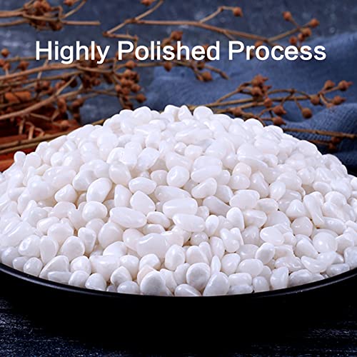 6.0 LB White Polished Pebbles 3