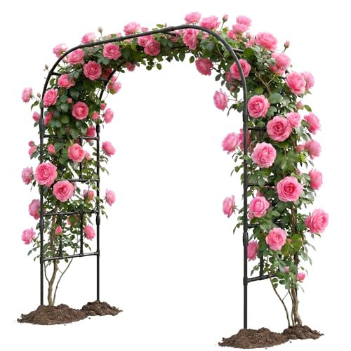 Garden Arch Trellis (87" H x 16" L x 79" W)