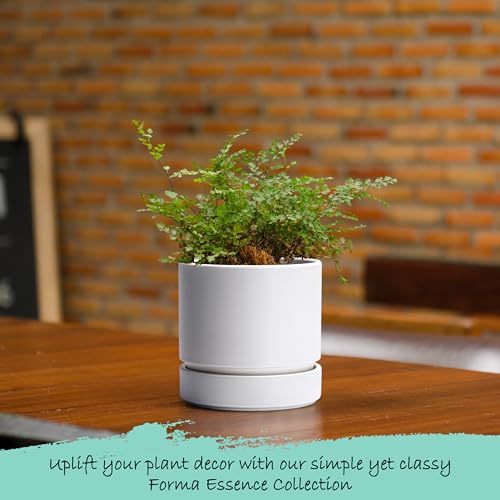 4 Inch Planter Pot with Drainage Hole & Saucer (4" (2 Pack) / Matte White)