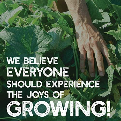 Mountain Valley Seed Co Clover Trio Seed Blend (80 Ounce)