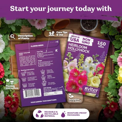 150 Hollyhock Heirloom Flower Seeds for Planting