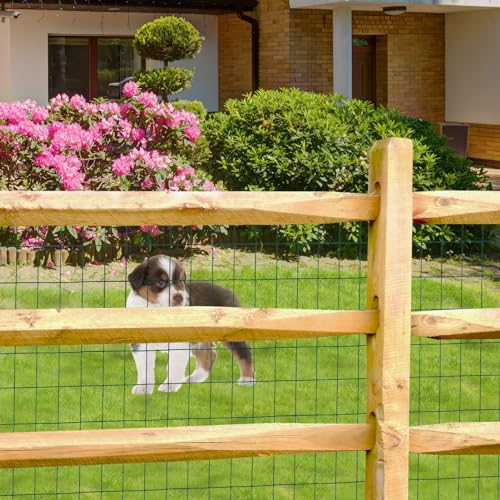 Green PVC Coated Welded Wire Fence 48" x 100' Roll (Green / 2''x3'' 16GA 48''x100')