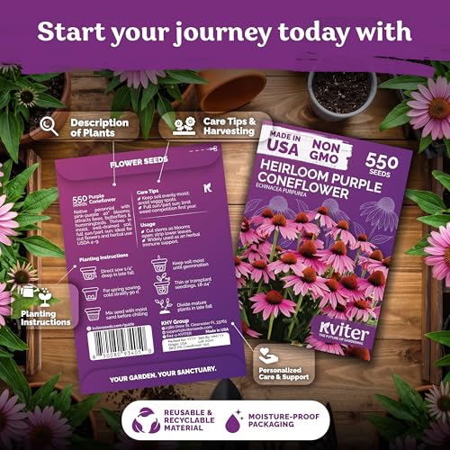 550 Purple Coneflower Heirloom Flower Seeds
