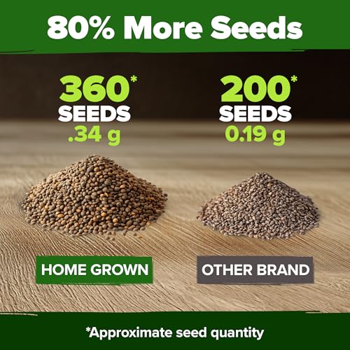 Culantro Seeds