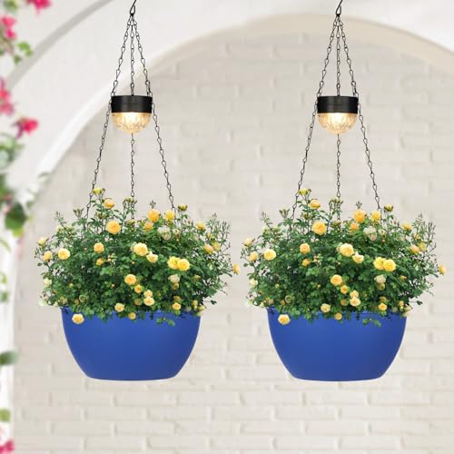 2 Pack Solar Hanging Planters for Plants Outdoor (2 Count)
