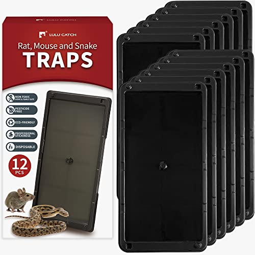 Sticky Mouse Trap (Large Plus)