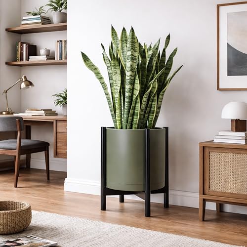 Plastic Pot with Ebony Wood Stand (Olive Pot + Ebony Stand / 16 Inch)