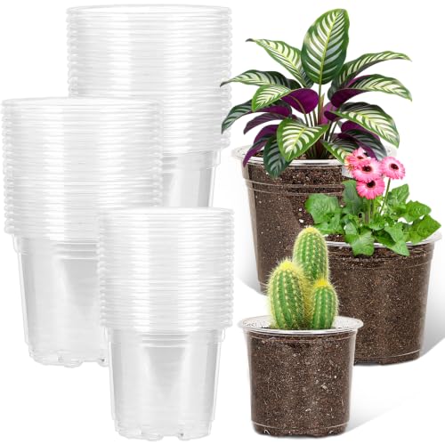 60 Pack 5/6/7 Inch Clear Nursery Pots with Drainage Holes, Clear Plant Pot for Planting, Transparent Plastic Plant Pots,Durable Seed Starting Pot for Succulents (5/6/7Inch-60Pack)